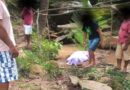 Jovem de 19 anos é achado morto durante banho em riacho em cidade do Piauí