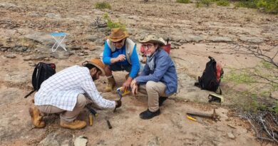 Pesquisadores da UFPE descobrem osso de dinossauro mais antigo já achado no Nordeste