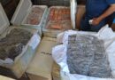PRF intercepta 650 kg de alimentos sem procedência na BR-343, em Parnaíba