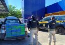 Cerca de 135 kg de cocaína escondidos em picape são apreendidos na BR-402, em Parnaíba