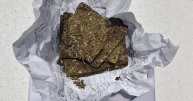 Operação policial intercepta passageiro que transportava drogas para Picos