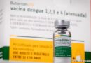 Após mortes, governo suspende vacina da dengue do Butantan