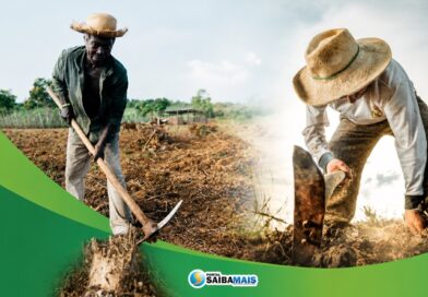 Secretaria de Agricultura registra mais de 300 atendimentos a produtores rurais em maio