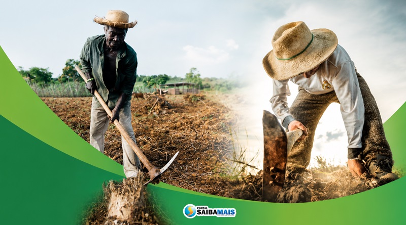 Secretaria de Agricultura registra mais de 300 atendimentos a produtores rurais em maio