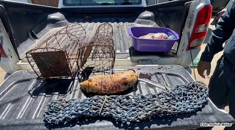 Suspeito de caça ilegal e maus-tratos a animais é preso em Pio IX