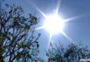 Fenômeno climático El Niño vai aumentar as temperaturas no Piauí, diz diretor da Defesa Civil