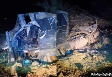 Caminhoneiro de 35 anos morre após perder controle de carreta na PI-247