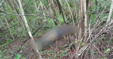 Homens suspeitos de homicídio são presos após corpo ser encontrado em mata no Piauí