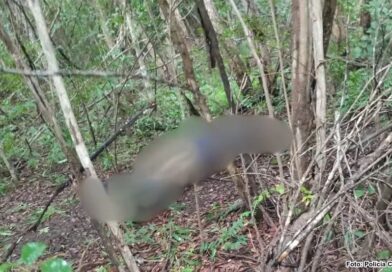 Homens suspeitos de homicídio são presos após corpo ser encontrado em mata no Piauí