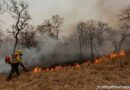 Corpo de Bombeiros acende alerta para queimadas com chegada do El Niño